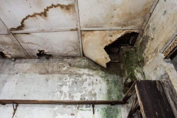 Cost of Water Damage Service in Kingsport