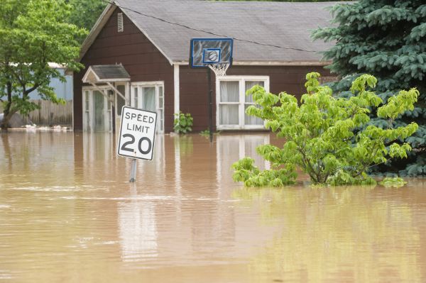 Cost of Storm Restoration Service in Kingsport