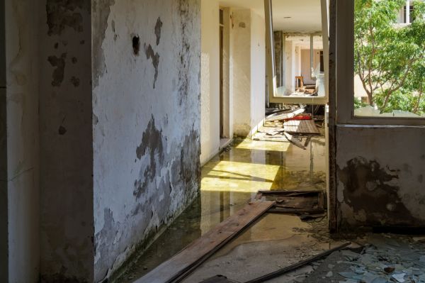 Cost of Water Removal Service in Kingsport
