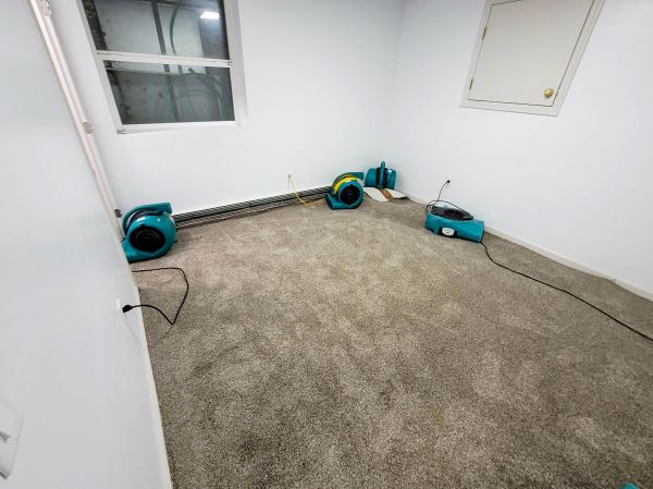 Flood Restoration Service in Kingsport