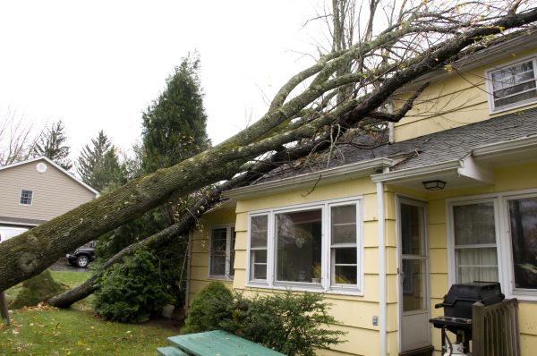Cost of Hurricane Damage Repair in Kingsport
