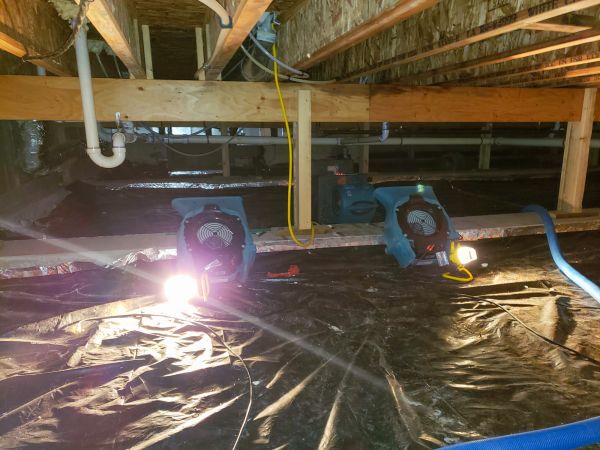 Cost of Crawlspace Water Removal in Kingsport